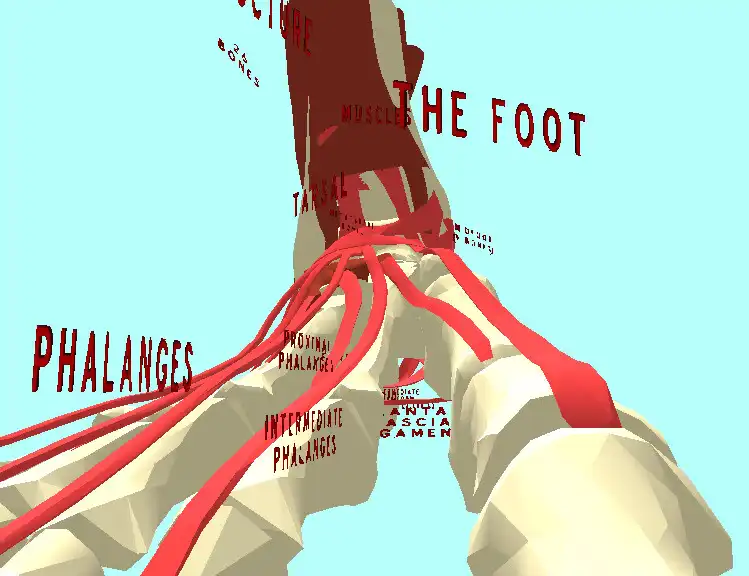 Play The Foot VR as an online game The Foot VR with UptoPlay