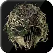 Free play online The Forest. Survival Games APK