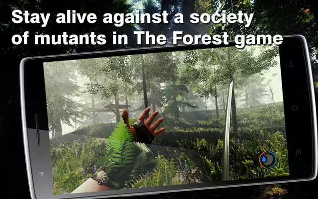Play The Forest. Survival Games
