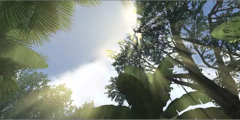 Play The Forest VR
