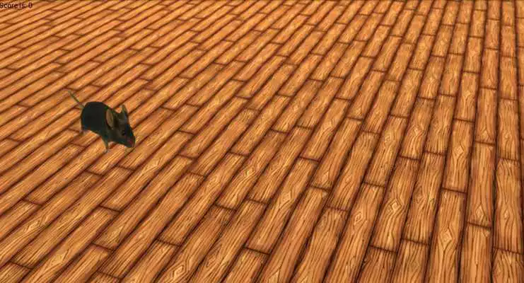 Play The Game for CATS Play The Game for CATS