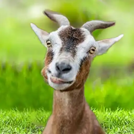 Play The Goat APK