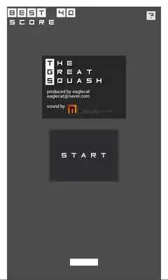 Play The Great Squash