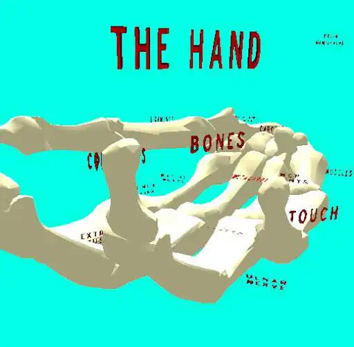 Play The Hand VR  and enjoy The Hand VR with UptoPlay