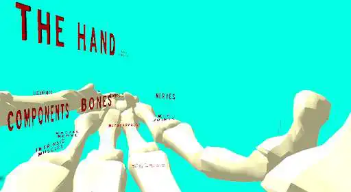 Play The Hand VR as an online game The Hand VR with UptoPlay