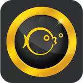 Free play online The Happy Fish Photography APK Free play online The Happy Fish Photography APK