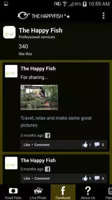 Play The Happy Fish Photography