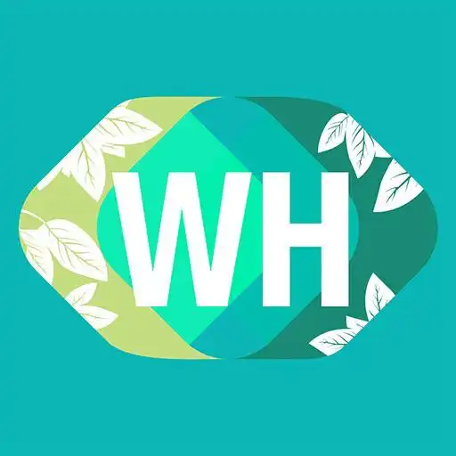 Play The Heights APK Play The Heights APK