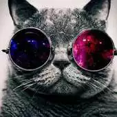 Free play online The Hipster Cat GO Keyboard APK
