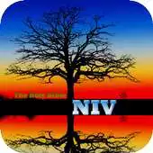 Free play online The Holy Bible NIV APK