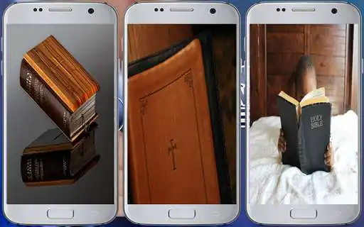 Play The Holy Bible (Offline)