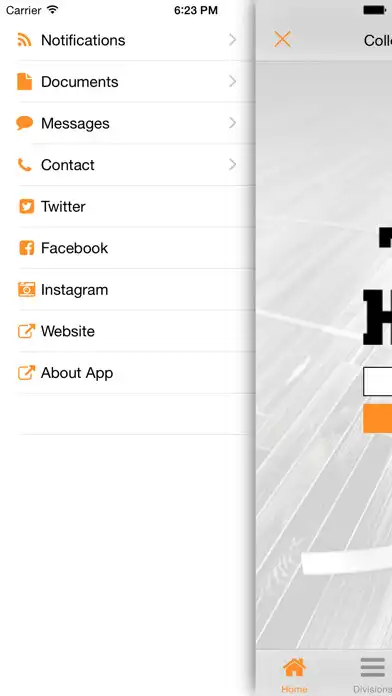 Play The Hoop as an online game The Hoop with UptoPlay