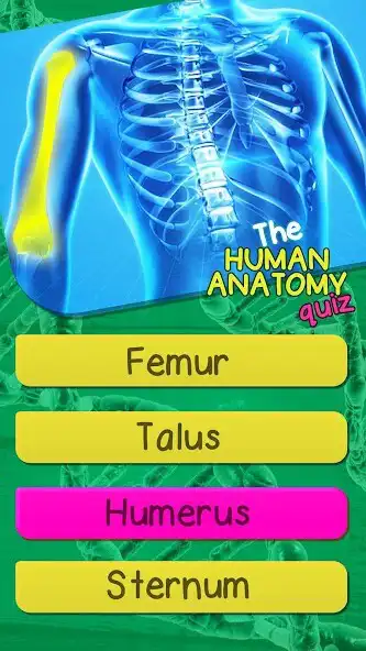 Play The Human Anatomy Quiz App On Human Body Organs  and enjoy The Human Anatomy Quiz App On Human Body Organs with UptoPlay