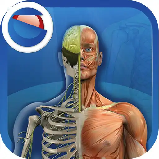 Play The human body APK Play The human body APK