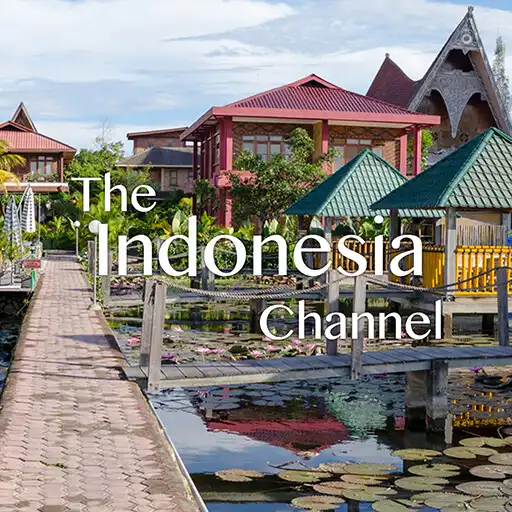 Play The Indonesia Channel APK