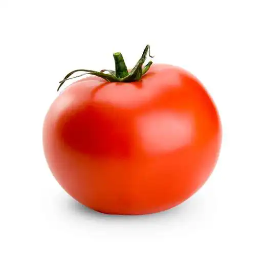 Play The Killer Tomato APK Play The Killer Tomato APK