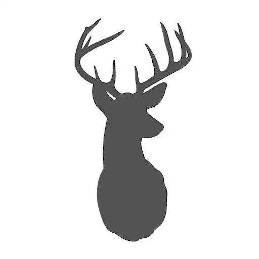 Play The King Stag APK