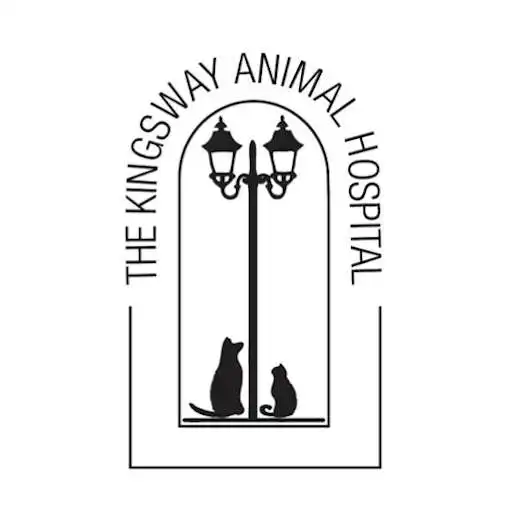 Play The Kingsway Animal Hospital APK