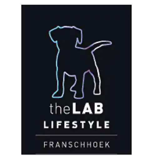 Play THE LAB APK