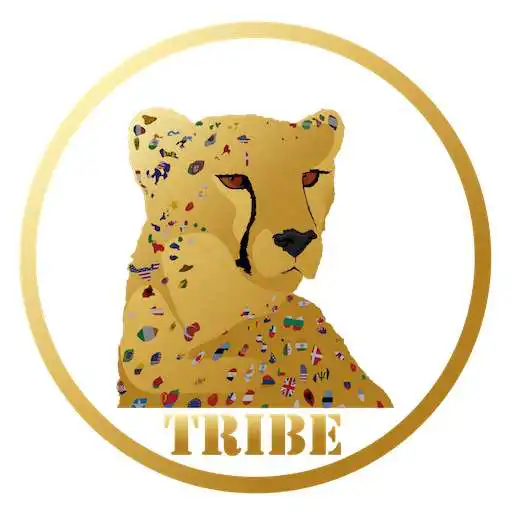 Play The Language TRIBE APK