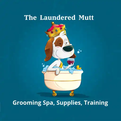 Play The Laundered Mutt APK