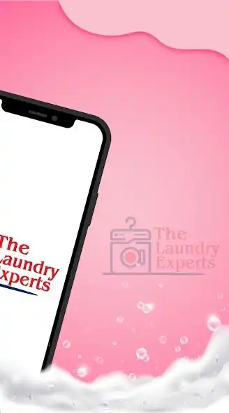 Play The Laundry Expert as an online game The Laundry Expert with UptoPlay