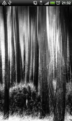 Play The Lonely Woods LWP