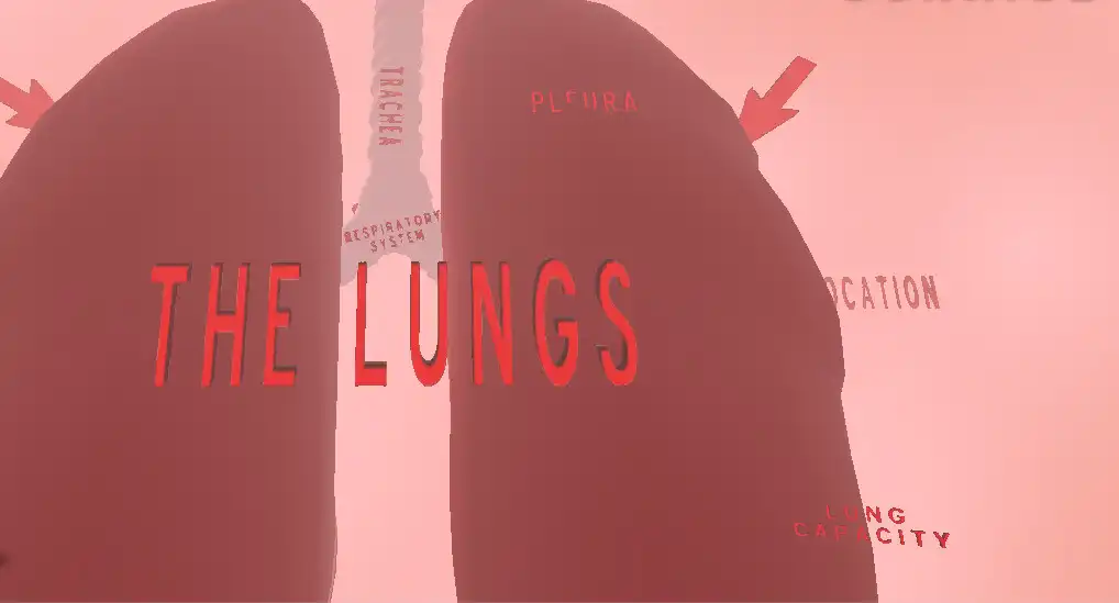 Play The Lungs VR  and enjoy The Lungs VR with UptoPlay
