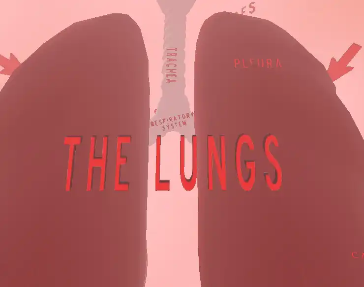 Play The Lungs VR as an online game The Lungs VR with UptoPlay
