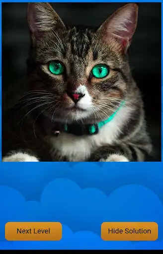 Play The magic puzzle  and enjoy The magic puzzle with UptoPlay