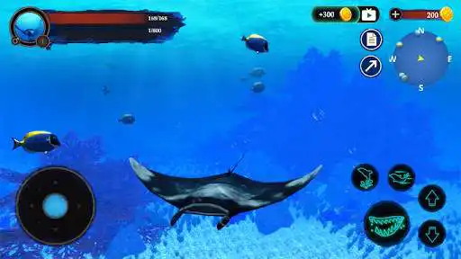 Play The Manta rays  and enjoy The Manta rays with UptoPlay