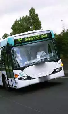 Play Theme Bus Scania OmniLinkArtic