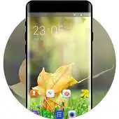 Free play online Theme for Galaxy Y Duos Lite APK