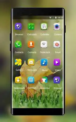Play Theme for Galaxy Y Duos Lite