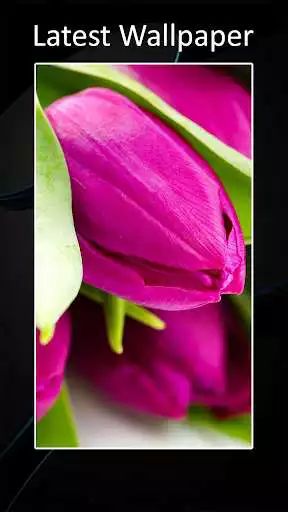 Play Theme for Huawei Mate 30 and enjoy Theme for Huawei Mate 30 with UptoPlay Play Theme for Huawei Mate 30 and enjoy Theme for Huawei Mate 30 with UptoPlay