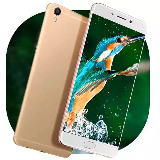 Free play online Theme for Oppo F1s Selfie Neo 7 APK Free play online Theme for Oppo F1s Selfie Neo 7 APK