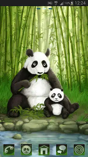 Play Theme panda GO Launcher EX