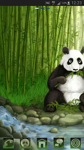 Play Theme panda GO Launcher EX