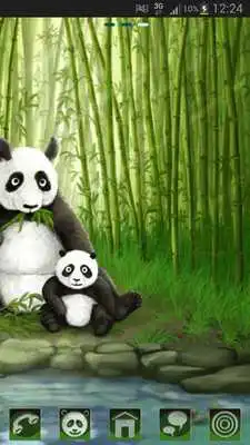 Play Theme panda GO Launcher EX