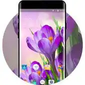 Free play online Themes for Lava Iris Pro 30+ APK