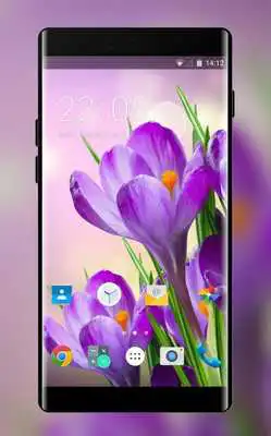 Play Themes for Lava Iris Pro 30+