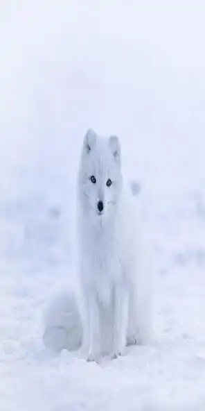 Play The Moment  and enjoy The Moment with UptoPlay