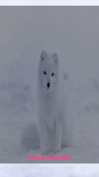 Play The Moment as an online game The Moment with UptoPlay