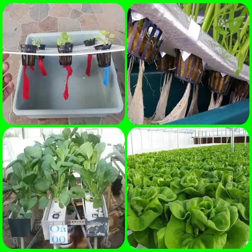 Play the most complete hydroponic tutorial APK