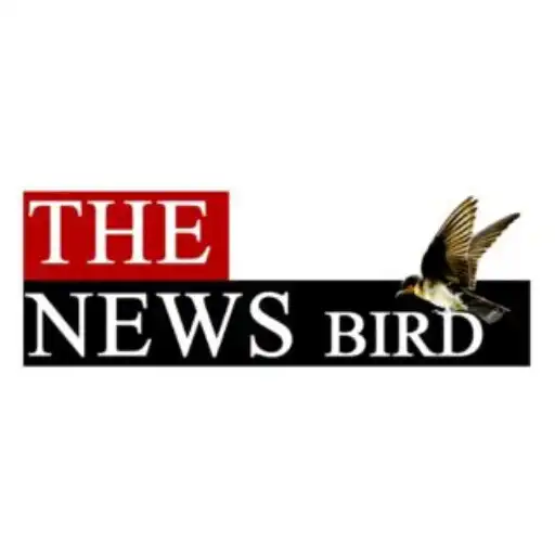 Play The news Bird APK Play The news Bird APK