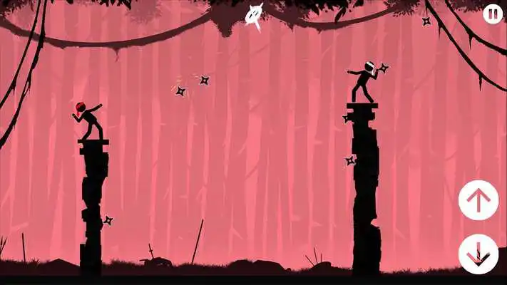 Play The Ninja
