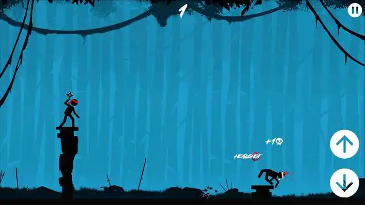 Play The Ninja