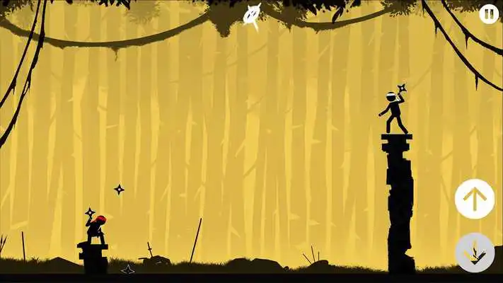 Play The Ninja