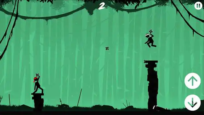 Play The Ninja