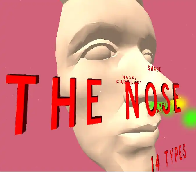 Play The Nose VR  and enjoy The Nose VR with UptoPlay